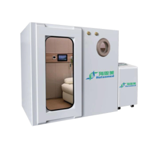 One Seater Luxury Chamber (B1)